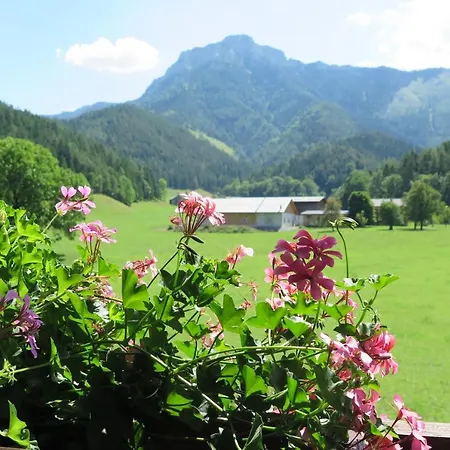 Gaestehaus Wasserburger Kernhof Exteriér fotografie