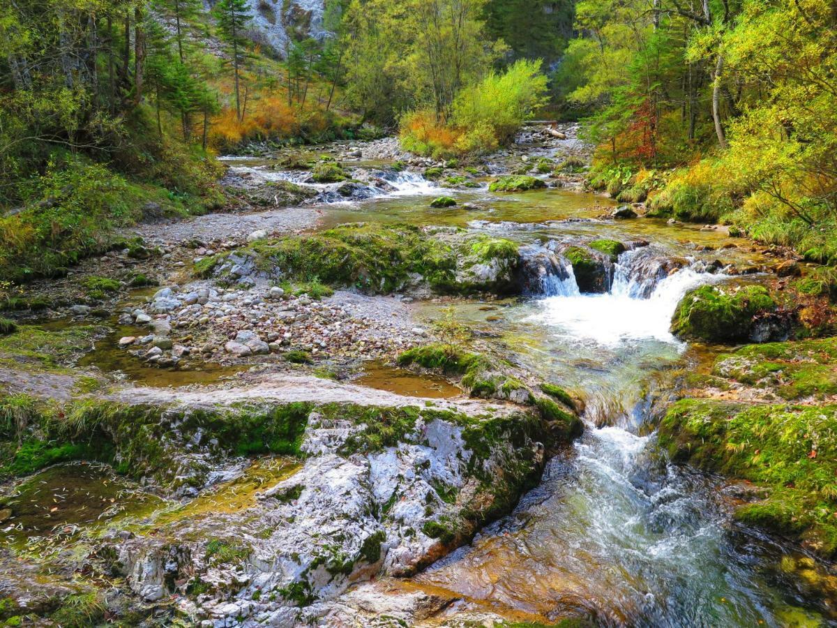 Ubytování v soukromí Gaestehaus Wasserburger *